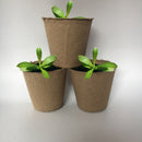 100Pcs Biodegradable Pulp Pots Plants Seedling Raising Pot Vegetable Fruit