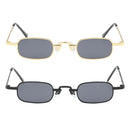 2 Pieces Small Square Punk Sunglasses Metal Rectangle Sunglasses