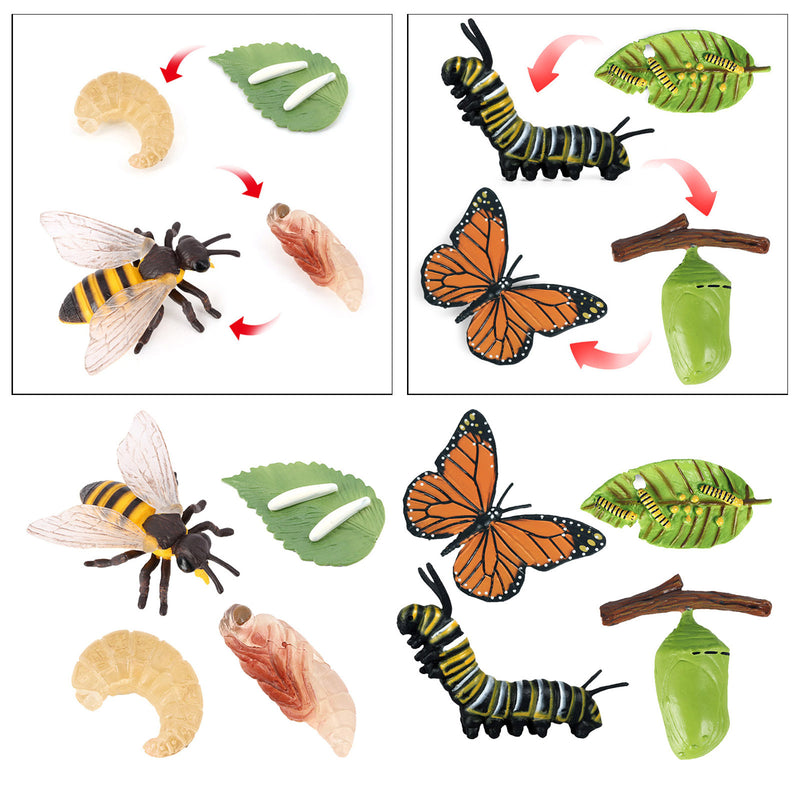 Realistic Nature Butterfly Bee Growth Child Education Learning Teaching Toys
