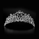 Wedding Bridal Tiara Peafowl And Peacock Design Rhinestones Tiara Crown T4X6