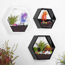 Handmade Acrylic Chlorophytum Flower Pot Scindapsus Hexagon Hanging Wall Decoration