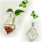 Creative Wall Hanging Transparent Glass Vase Fish Tank Hydroponic Living Room Home Decor