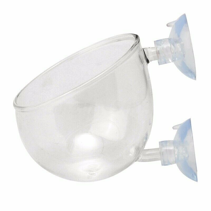 Mini Red Shrimp Aquatic Plant Crystal Glass Pot for Aquarium Cup Holder Tank Fish Tank