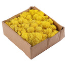 200g Natural Norwegian Reindeer Moss Preserved Dried Craft Flower Decorations