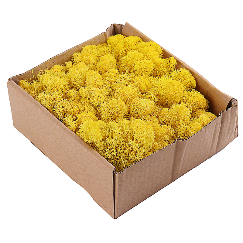 200g Natural Norwegian Reindeer Moss Preserved Dried Craft Flower Decorations
