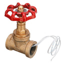 Vintage Steampunk 1/2 Inch Red Handle Stop Valve Light Switch With Wire For Water Pipe Lamp