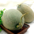 Egrow 50Pcs/Pack Cantaloupe Seeds Honey Yellow Flesh Sweet Melon Fruit Seed Summer Muskmelon Plants