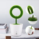 Mini Artificial Bonsai Fresh Anion Desktop Ionizer Air Purifier For Home Office