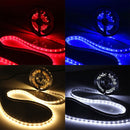 5M 30W LED Strip Flexible Light 300 SMD 5630 White/Warm White/Red/Blue with DC Female 12V