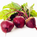 Egrow 100 Pcs/Pack Beetroot Seeds Beetroot Plants Green Vegetable Beta Vulgaris Bonsai Plantas Hardy Vegetable