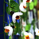Solar Powered 5M 20LEDs Waterproof  Black Yellow Bee Fairy String Light for Garden Party Christmas