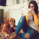 Loskii PT-300 Electronic Rechargeable Large LCD Display Dog Training Stick