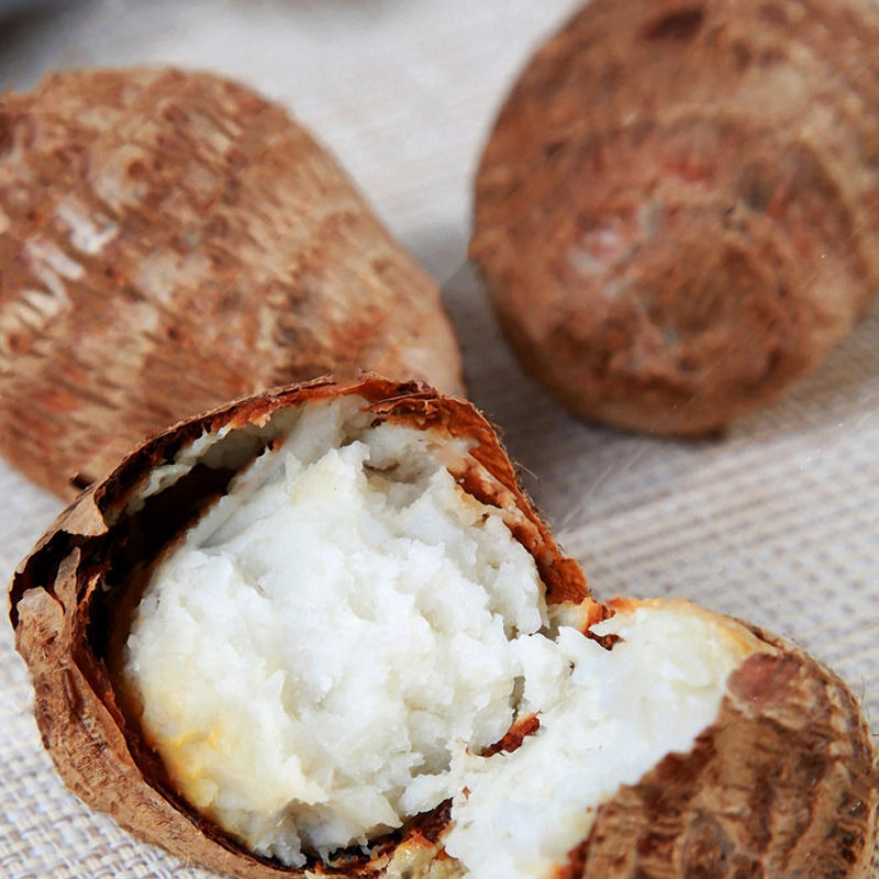 Egrow 100pcs/Bag Taro Seeds Rare Green Giant Taro Seeds Ornamental Leaves Edible Root Vegetable Seed