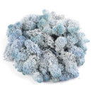 200g Natural Norwegian Reindeer Moss Preserved Dried Craft Flower Decorations