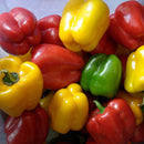 Egrow 50Pcs/Bag Mixed Red Yellow Green Pepper Seeds Colorful Sweet Pepper Seeds Mix Bell Peppers