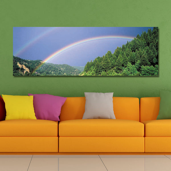 DYC 10429 Single Spray Oil Paintings Photography Rainbow WallArt For Home Decoration