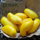 Egrow 100Pcs/Pack Mango Tomato Seeds Garden Potted Fruit Vegetable Planting