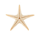 20Pcs Mini Starfish Sea Star Shell Landscape Beach Wedding DIY Crafts Making Decorations