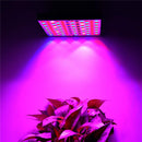 45W 144 LED Plant Grow Light Lamp Full Spectrum For Flower Seed Greenhouse Indoor