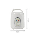 iBeauty 1.5L Fumigation Steam Steamer Thermostatic Steaming Box Fumigation Machine Model 110V/220V