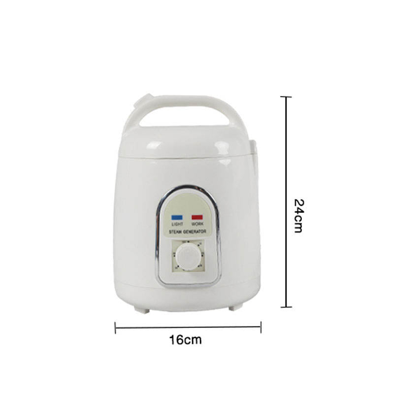 iBeauty 1.5L Fumigation Steam Steamer Thermostatic Steaming Box Fumigation Machine Model 110V/220V