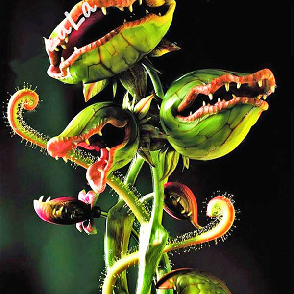 Egrow 100Pcs/Pack Flytrap Seeds Garden Potted Dionaea Muscipula Giant Carnivorous Plant Seeds