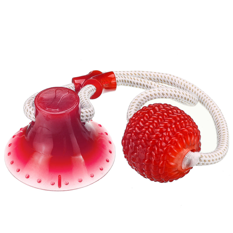 Multifunction Pet Molar Bite Toy with Suction Cup Pet Supplies Rubber Ball Pet Toys