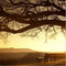 3Pcs Sunset Combination Painting Printed On Canvas Frameless Drawing Home Background Paper Art