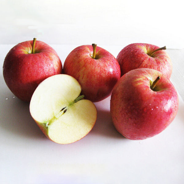 Egrow 100 Pcs/Pack Apple Tree Seeds Garden and Home Potted Fruit Red Apple Seed Bonsai Plants