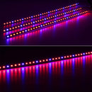 10PCS 50CM SMD5630 Red:Blue 3:1 /4:1 /5:1 LED Grow Rigid Bar Strip for Hydroponics Greenhouse DC12V