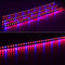 10PCS 50CM SMD5630 Red:Blue 3:1 /4:1 /5:1 LED Grow Rigid Bar Strip for Hydroponics Greenhouse DC12V