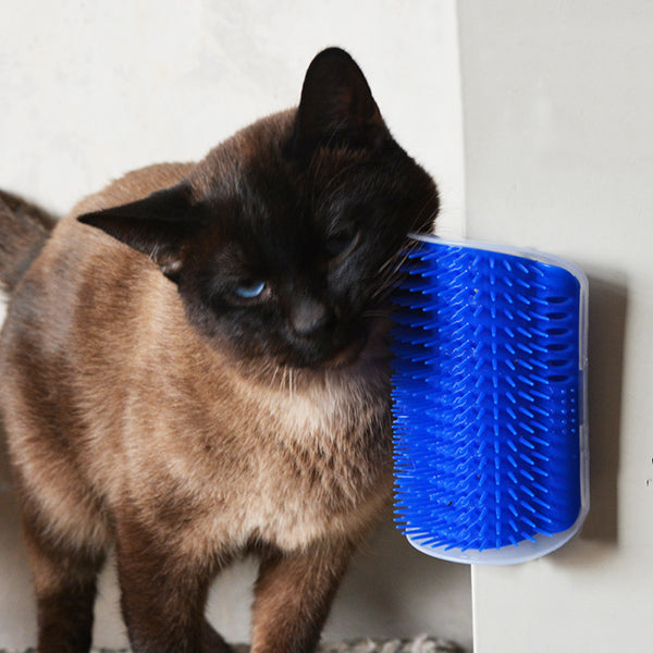Pet Products Cats Supplies Massage Device Self Groomer Furniture Scratching Post Pet Brush