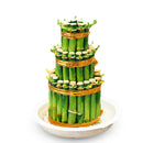 Egrow 30 PCS/Pack Lucky Bamboo Bonsai Seeds Small Potted Plants Purify Dracaena Plantas Planting Simple for Home Garden