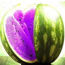 Egrow 50Pcs/Pack Watermelon Seeds Garden Colorful Edible Green Yellow White Watermelon Seeds