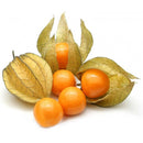 Egrow 20Pcs/pack Physalis Seeds Garden Fruit Flower Latern Golden Berry Tree Seeds
