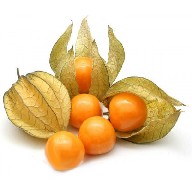 Egrow 20Pcs/pack Physalis Seeds Garden Fruit Flower Latern Golden Berry Tree Seeds