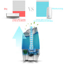 3L Big Capacity Household Mute Air Humidifier Aromatherapy Diffuser 220V