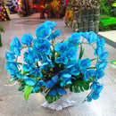 Egrow 100 Pcs/Pack Cactus Seeds