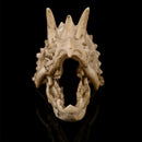 Resin Model Triceratops Dinosaur Skull Head Teaching Bone Collectible Craft Gift Decorations