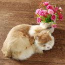Realistic Sleeping Cat Lifelike Plush Fake Kitten Fur Furry Animal Figurine Toys Home Decorations