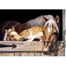 40x30cm Horse and Cat Cross Stitch Printed Kits Draw a Diamond Picture Rhin