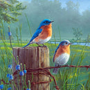 Diamond Embroidery Scenery Picture 5D Diy Diamond Painting Cross Stitch Blu