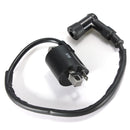 Ignition Coil 150 200 FL 250CC for ATV Dirt Bike Moped Go Kart