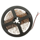 3X 5M 300 SMD3528 White Flexible White LED Strip Non-Waterproof DC 12V