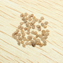 30pcs British Cherries Tomato Seeds Garden Plants