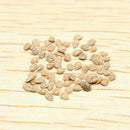 30pcs British Cherries Tomato Seeds Garden Plants