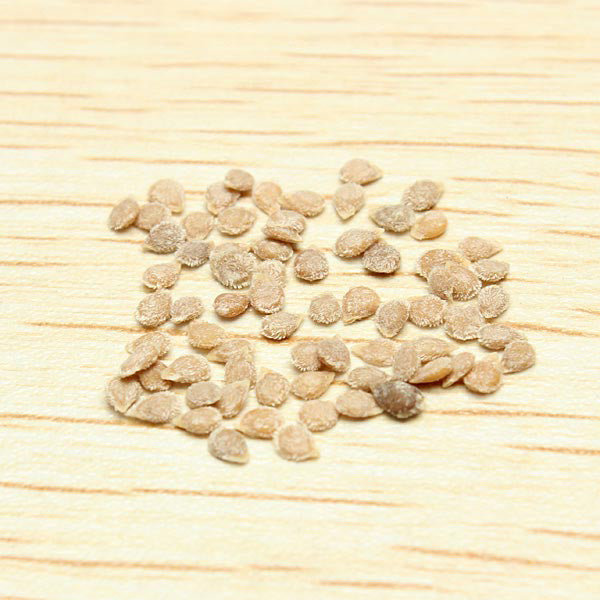 30pcs British Cherries Tomato Seeds Garden Plants