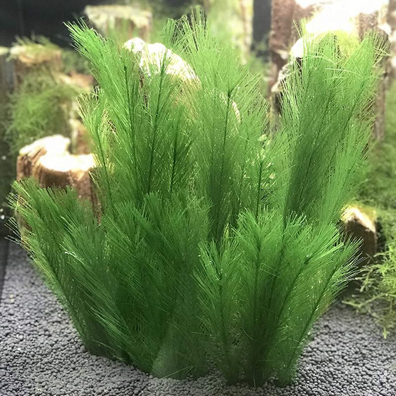 Aquarium Decorations Fish Tank Artificial Green Water Plants Made Of Silk F