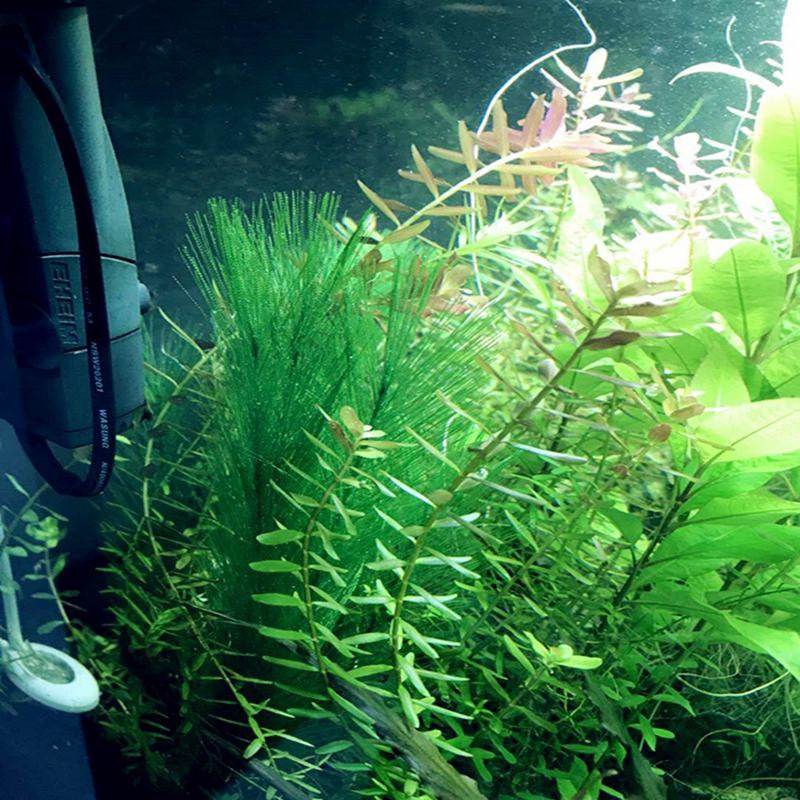 Aquarium Decorations Fish Tank Artificial Green Water Plants Made Of Silk F