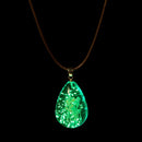 Luminous Starry Dried Flower Pendant Necklace Casual Style Necklace For Women